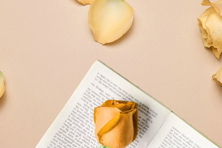 中國傳媒大學在職研究生 中國傳媒大學在職研究生