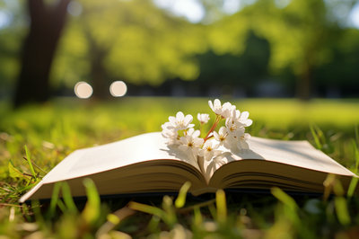 中國傳媒大學在職研究生