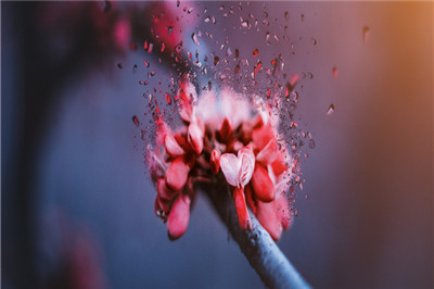 中國傳媒大學在職研究生 中國傳媒大學在職研究生