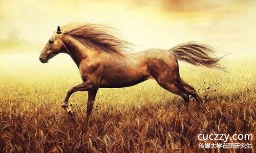 傳媒大學在職研究生 傳媒大學在職研究生