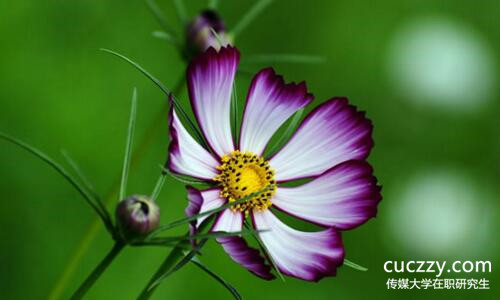 中國傳媒大學在職研究生招生信息網 中國傳媒大學在職研究生招生信息網