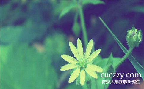 中國(guó)傳媒大學(xué)在職研究生能跨專業(yè)報(bào)考嗎