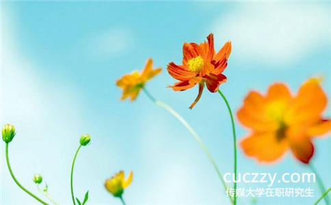 中國傳媒大學在職研究生可以用來考公務員嗎