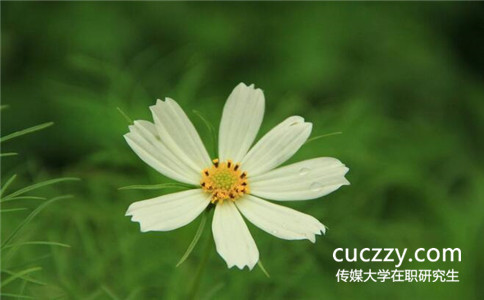 報(bào)考中國(guó)傳媒大學(xué)在職研究生有哪些條件要求