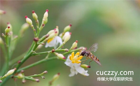 中國傳媒大學(xué)在職研究生可以免試入學(xué)嗎