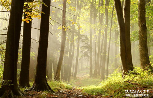 傳媒大學全日制與非全日制研究生哪個更好?