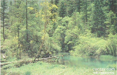 中國傳媒大學在職研究生怎么樣?