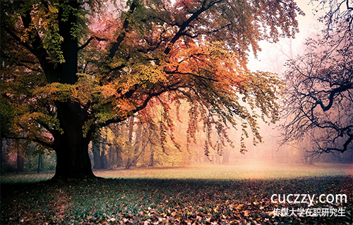 中國傳媒大學(xué)在職研究生有哪些熱門專業(yè)?