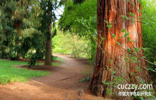 傳媒大學在職研究生兩種招生方式有什么區別?