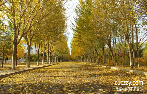 傳媒大學在職研究生含金量怎么樣?