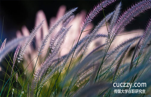 中國傳媒大學在職研究生英語考試難嗎?