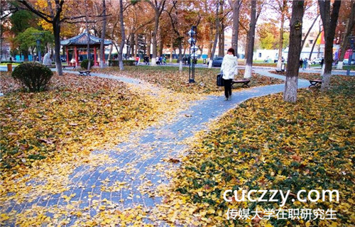 傳媒大學在職研究生有網絡課程嗎 傳媒大學在職研究生有網絡課程嗎