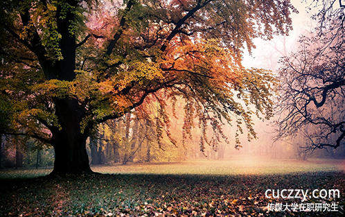 選擇報考傳媒大學在職研究生有沒有用呢?