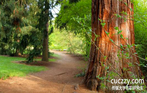 中國傳媒大學在職研究生考試都考什么?