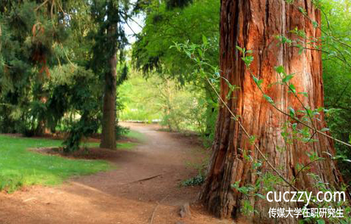 傳媒大學在職研究生同等學力申碩通過率高嗎? 傳媒大學在職研究生同等學力申碩通過率高嗎?