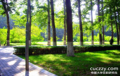 中國傳媒大學在職研究生同等學力申碩可以獲得哪些證書? 中國傳媒大學在職研究生同等學力申碩可以獲得哪些證書?