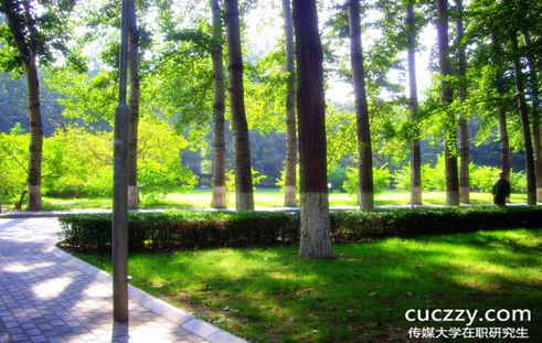 中國傳媒大學在職研究生有沒有網絡班? 中國傳媒大學在職研究生有沒有網絡班?