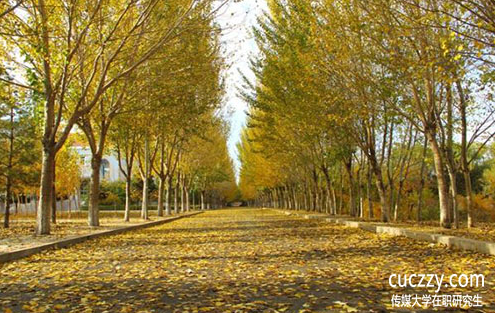 傳媒大學在職研究生在職研究生學費高不高? 傳媒大學在職研究生在職研究生學費高不高?