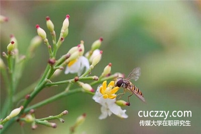 想參加中國傳媒大學在職研究生學習門檻高嗎? 想參加中國傳媒大學在職研究生學習門檻高嗎?