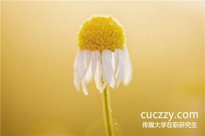 參加中國傳媒大學在職研究生最后一定能拿到證書嗎? 參加中國傳媒大學在職研究生最后一定能拿到證書嗎?