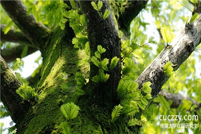 企業對中國傳媒大學在職研究生認可嗎? 企業對中國傳媒大學在職研究生認可嗎?