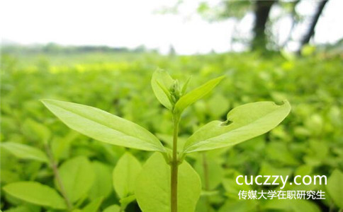 中國傳媒大學在職研究生會被歧視嗎? 中國傳媒大學在職研究生會被歧視嗎?